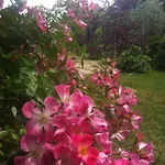 Il Casale Del Ginepro Bed & Breakfast 4*