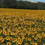 Bed & Breakfast Il Casale Del Ginepro Migliano