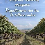 Il Casale Del Ginepro 4* Migliano