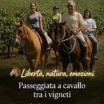 Bed & Breakfast Il Casale Del Ginepro 4*