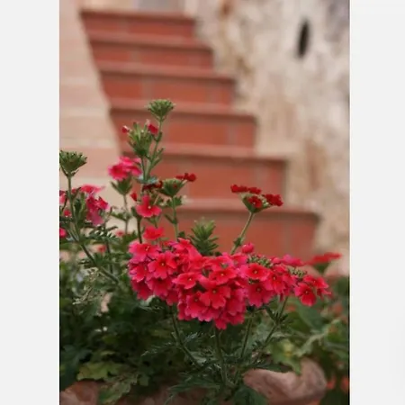 Il Casale Del Ginepro Bed & Breakfast Migliano