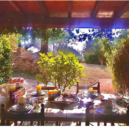 Bed & Breakfast Il Casale Del Ginepro Migliano