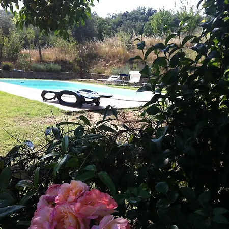 Bed & Breakfast Il Casale Del Ginepro