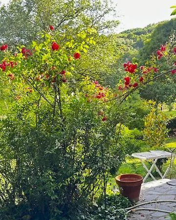 Il Casale Del Ginepro * Migliano