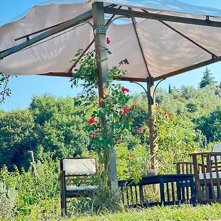 Il Casale Del Ginepro Bed & Breakfast Migliano