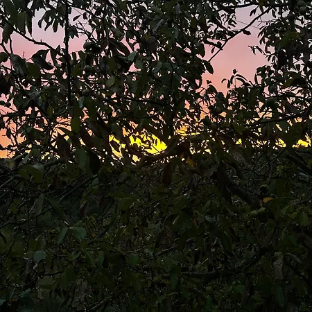 Il Casale Del Ginepro Alojamento de Acomodação e Pequeno-almoço