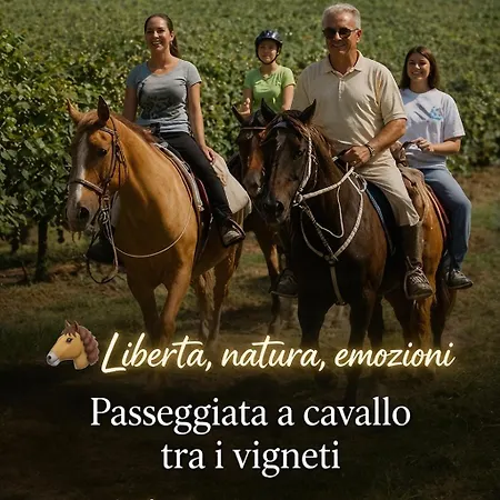 Bed and Breakfast Il Casale Del Ginepro 4*