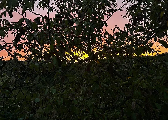 Il Casale Del Ginepro Alojamento de Acomodação e Pequeno-almoço