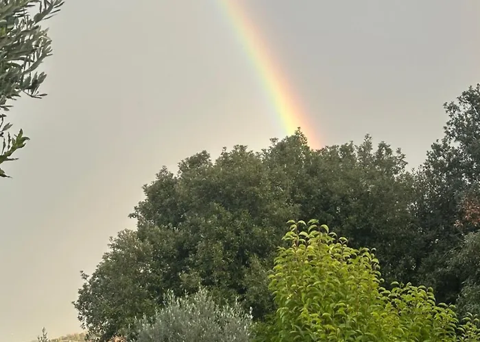 Il Casale Del Ginepro Alojamento de Acomodação e Pequeno-almoço 4*